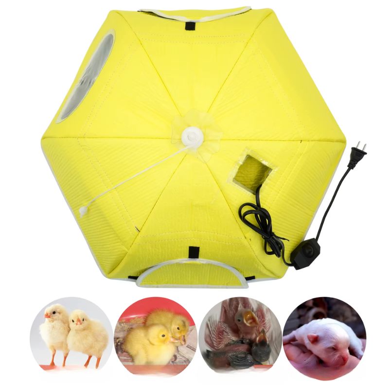 Electric heater for chick incubator