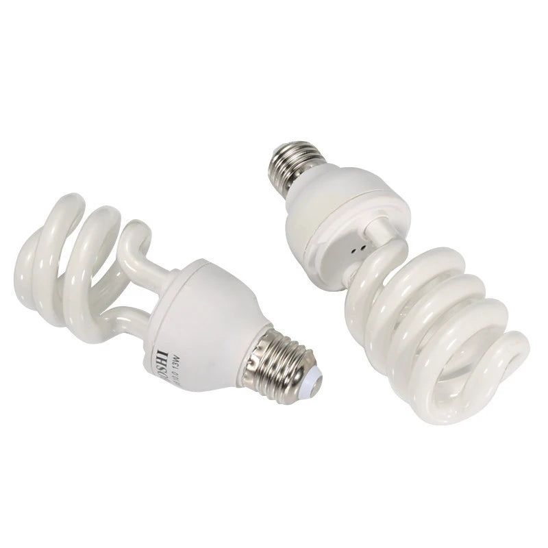 Compact Fluorescent Bulbs