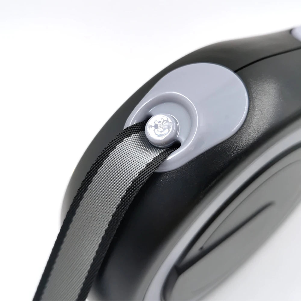 Retractable leash for dog