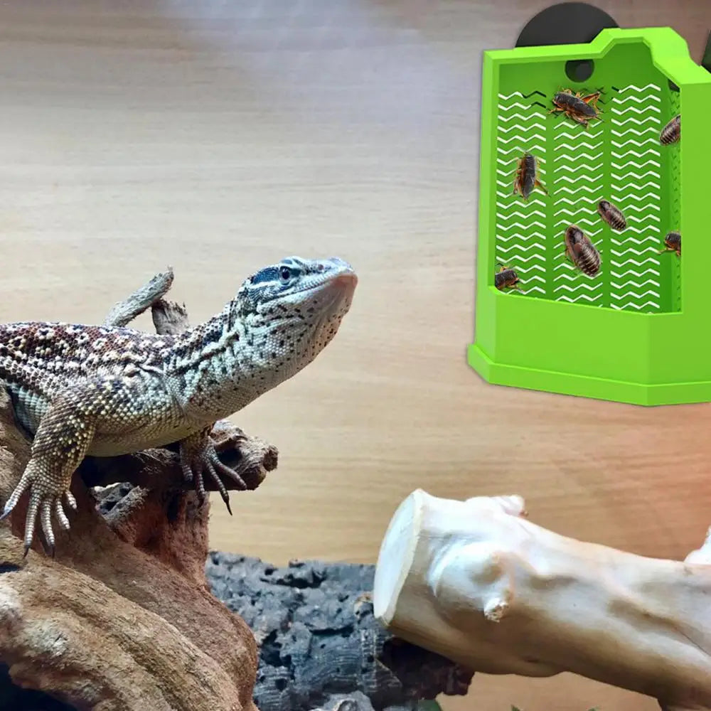 Feeding pot for reptiles