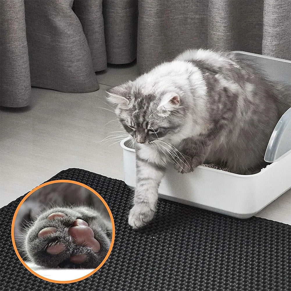 Cat Litter Polymers