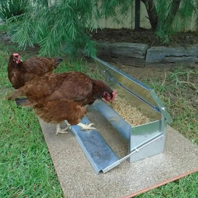 Disposable automatic feeder