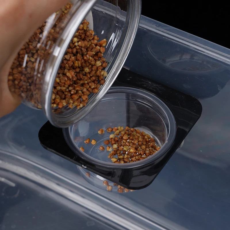 Reptile feeder with suction cup