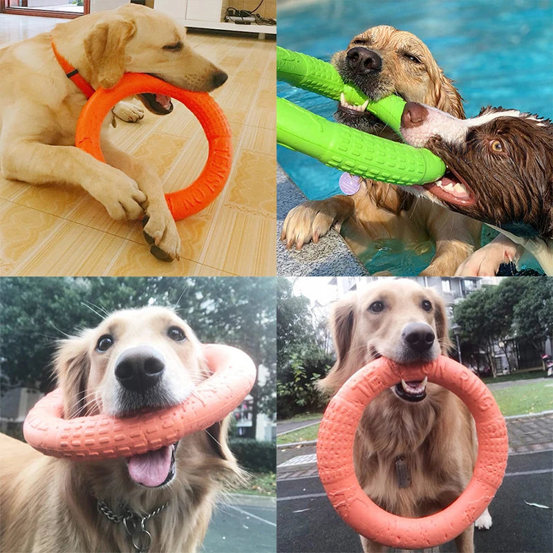 Dog training ring