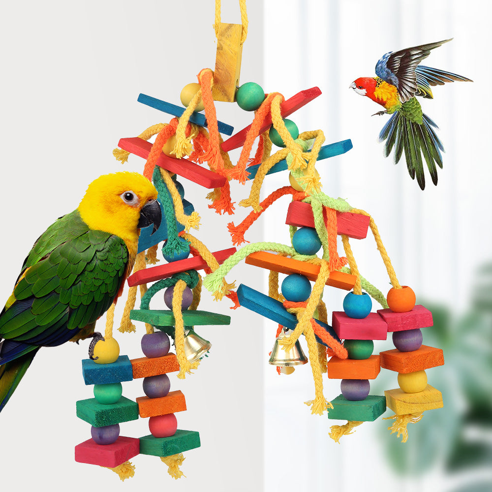 Parrot toys