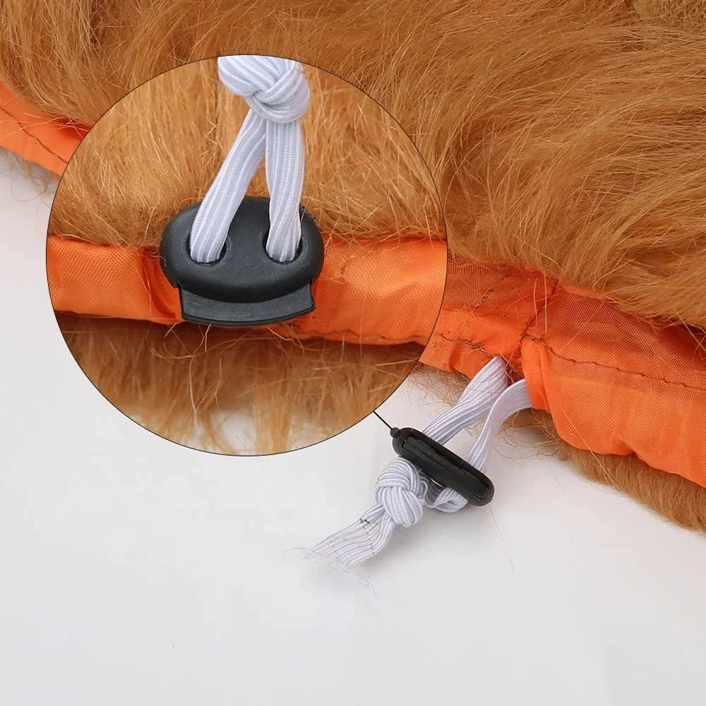 Cute cosplay outfits for pet dogs