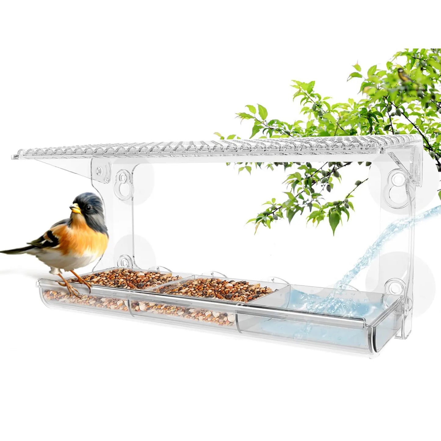 Bird feeder