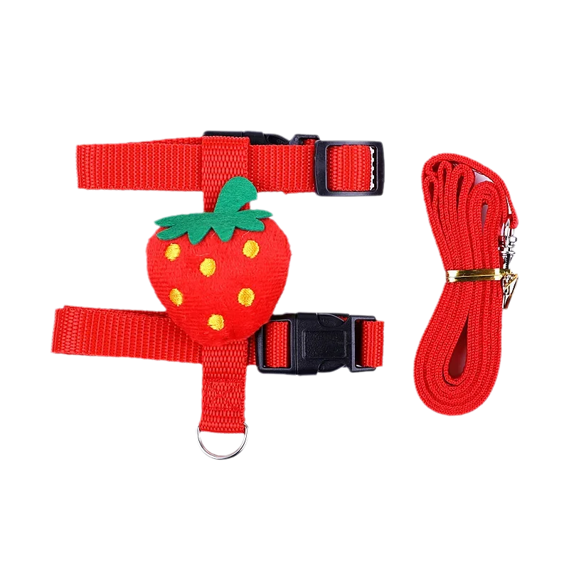Leash set