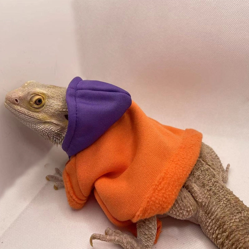 Lizard clothing