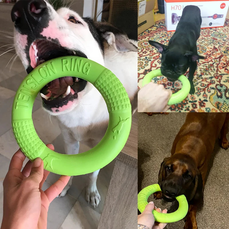 Dog training ring