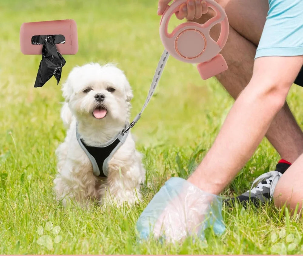 Retractable Leash