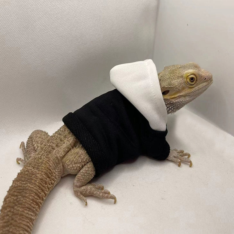 Lizard clothing