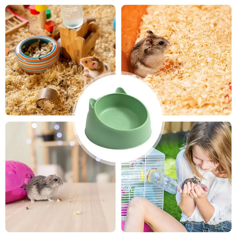 Feeding and water pot