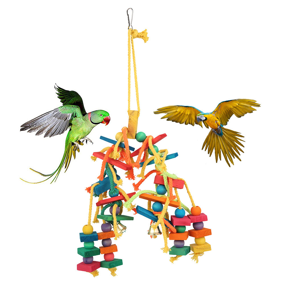 Parrot toys