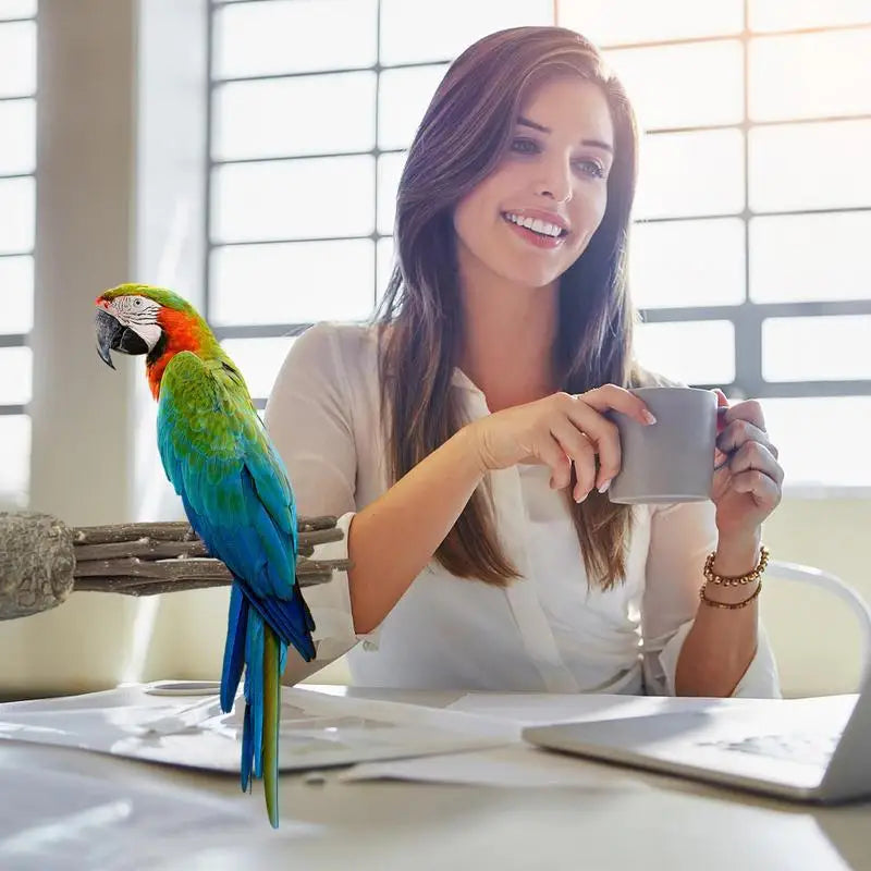 Natural wood parrot stand