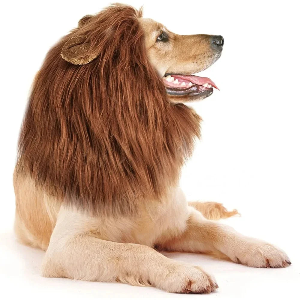 Cute cosplay outfits for pet dogs