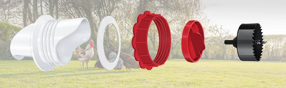 Automatic feeder for poultry