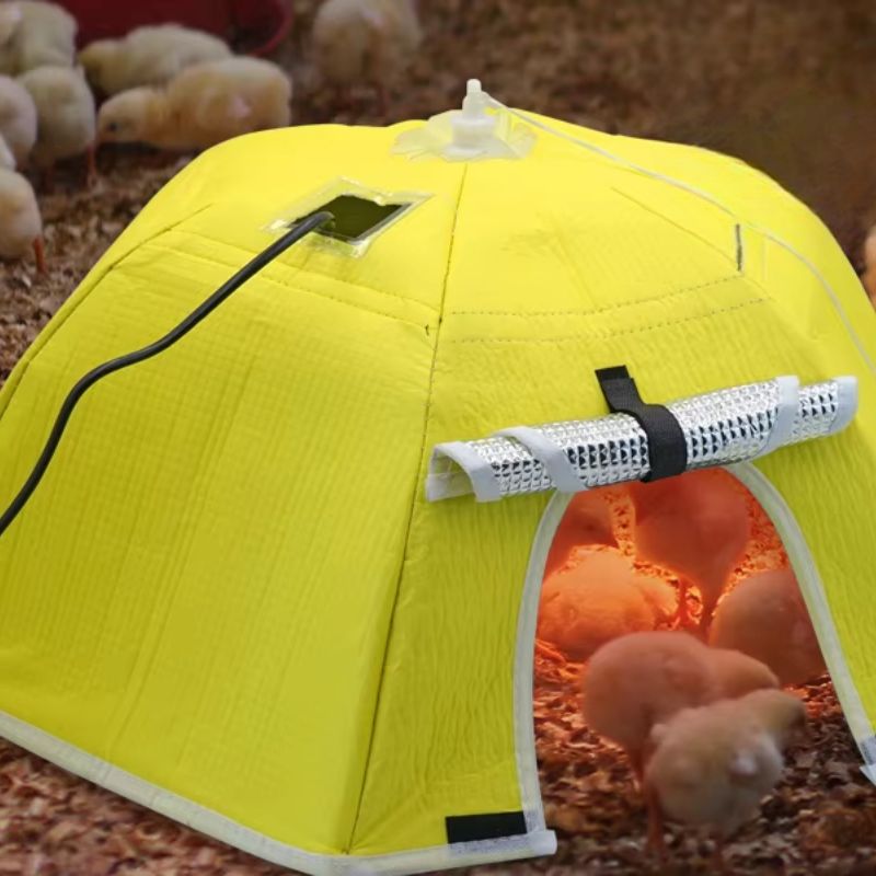 Electric heater for chick incubator 