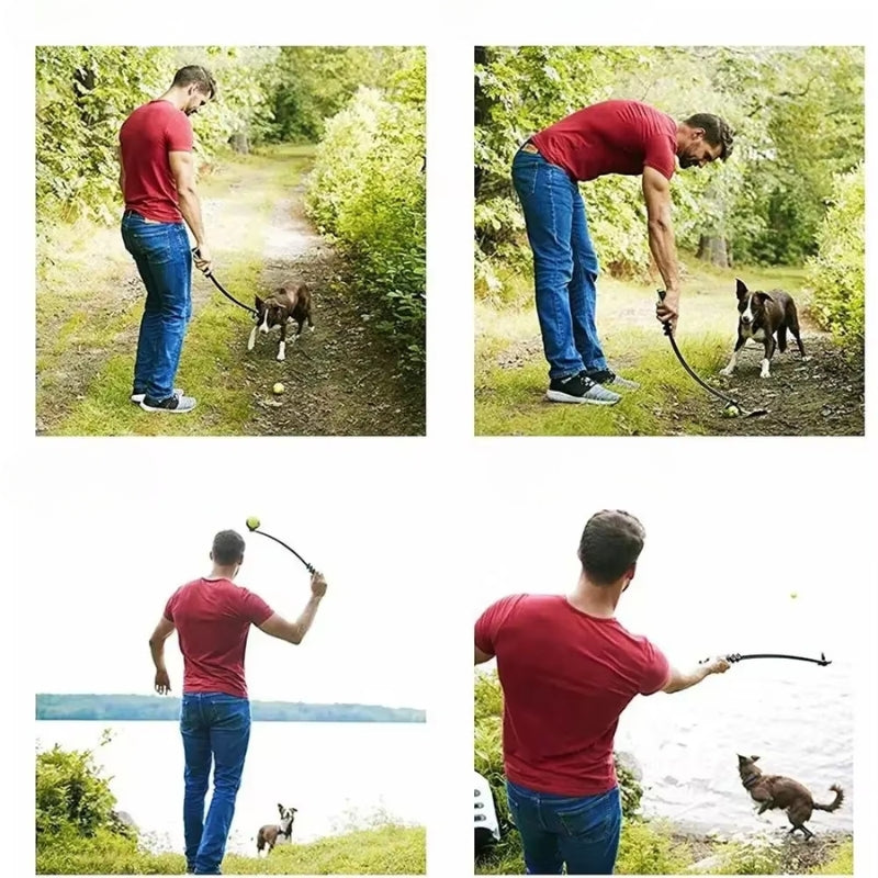Hand Throw Ball for Pets 