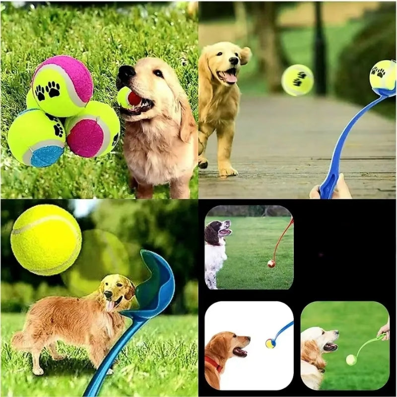 Hand Throw Ball for Pets 
