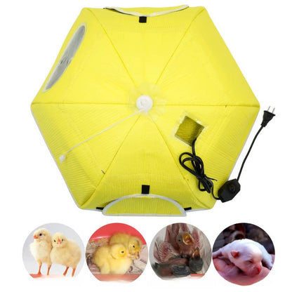 Electric heater for chick incubator 