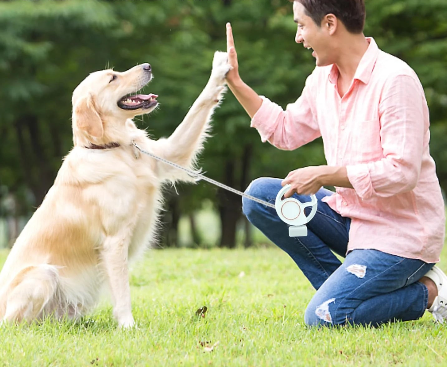 Retractable Leash 
