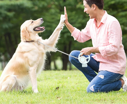 Retractable Leash 