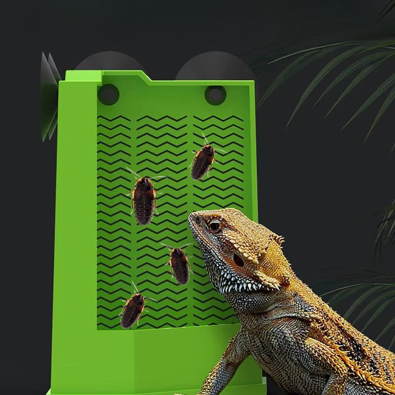 Feeding pot for reptiles 