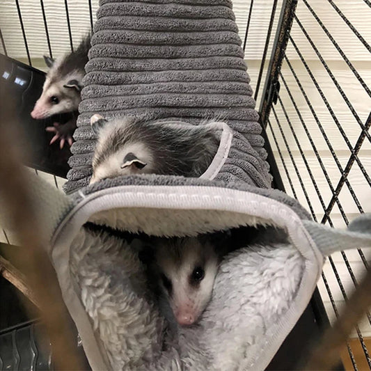 Warm winter hammock for small animals 