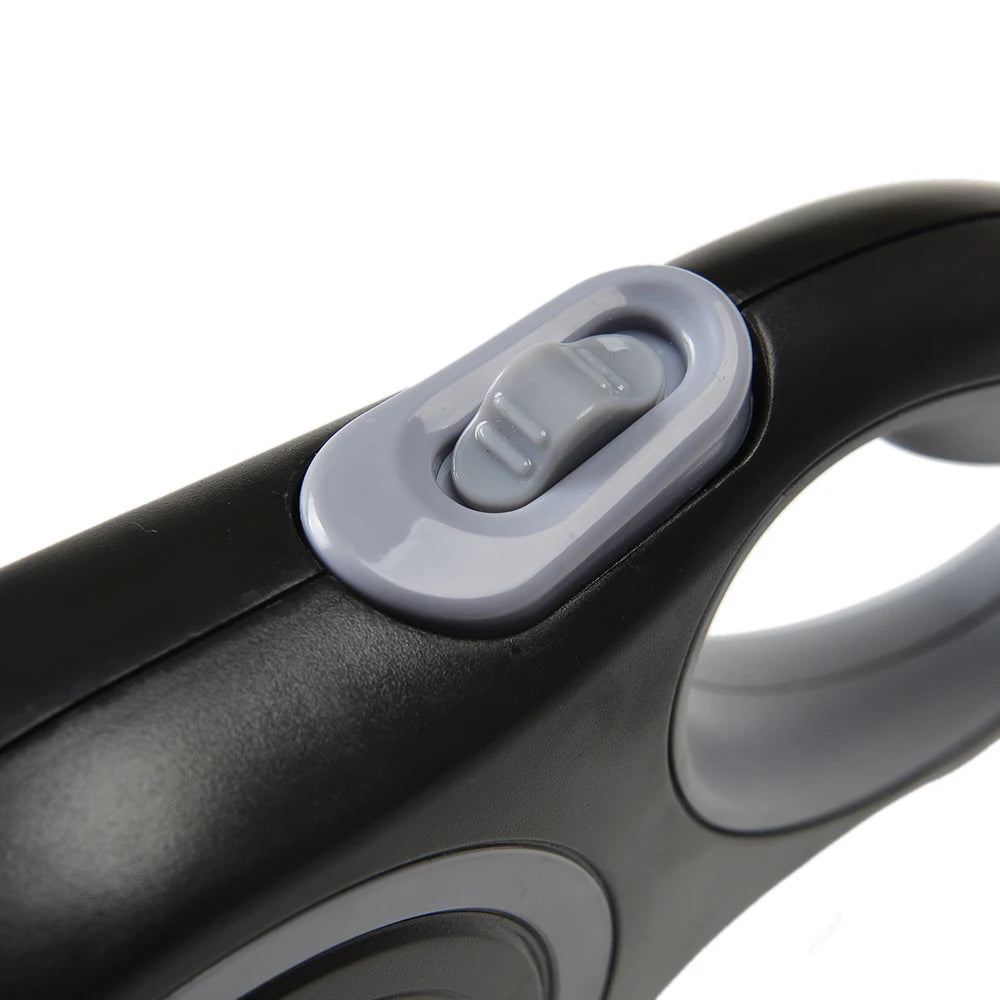 Retractable leash for dog 