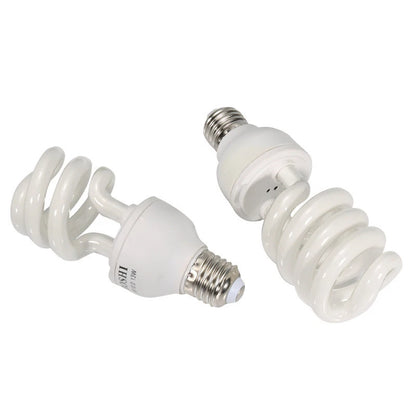 Compact Fluorescent Bulbs 