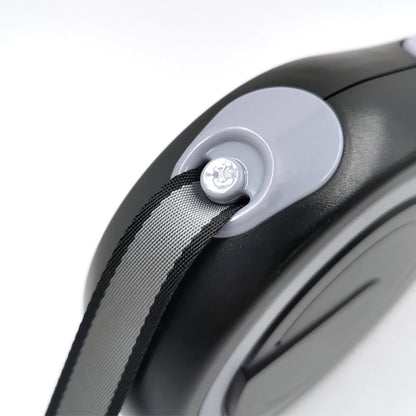 Retractable leash for dog 