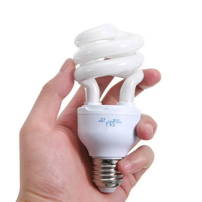 Compact Fluorescent Bulbs 