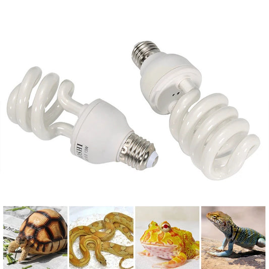 Compact Fluorescent Bulbs 