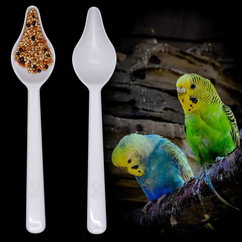 Plastic feeding spoons for baby birds 