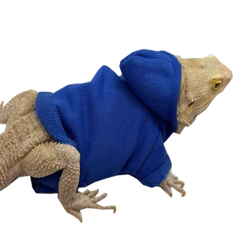 Lizard clothing 