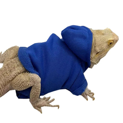 Lizard clothing 