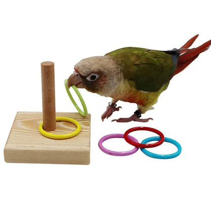 Bird toy set 