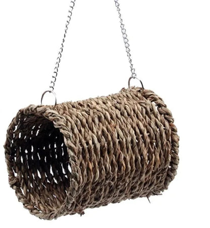 Natural Bird's Nest 