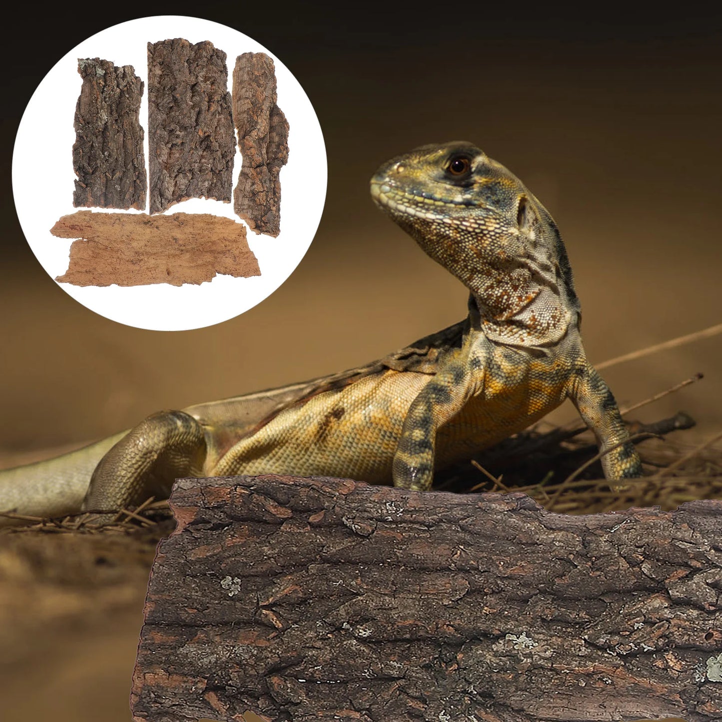 Natural cork bark decor for reptiles 