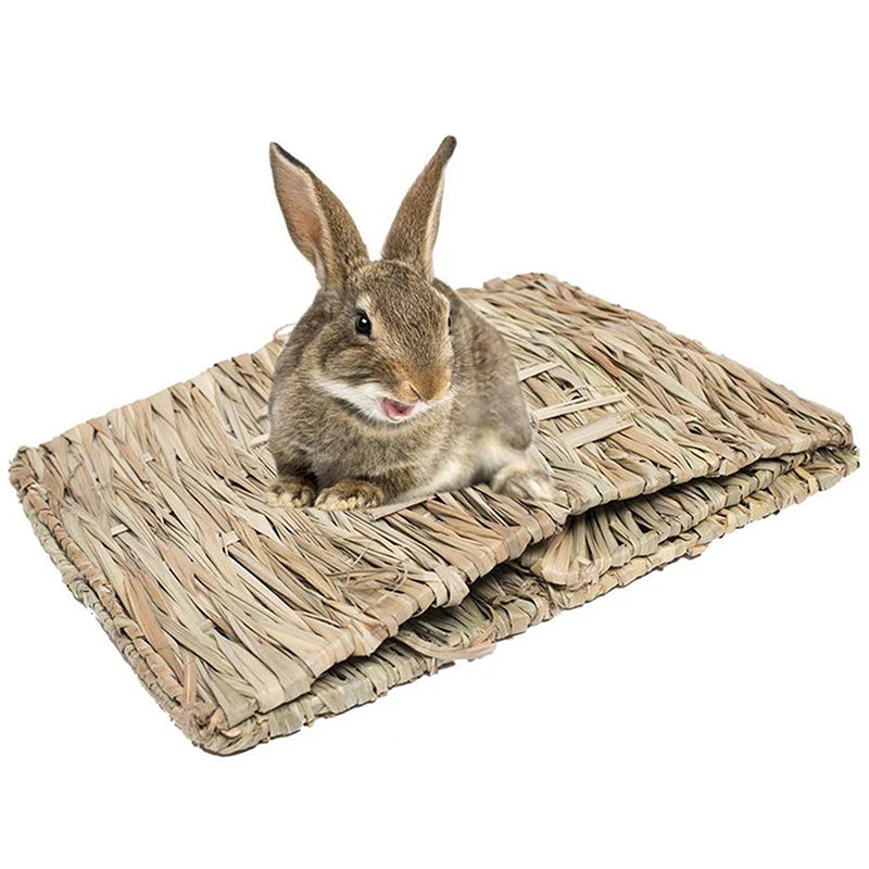 Rabbit Cages 