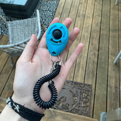 Pet training clicker 