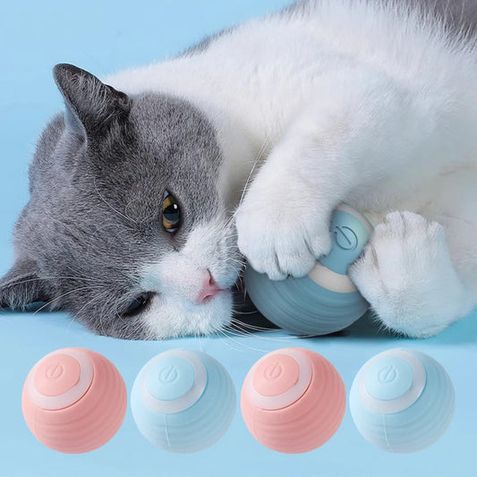 Electric ball with automatic movement for cats 