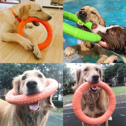 Dog training ring 