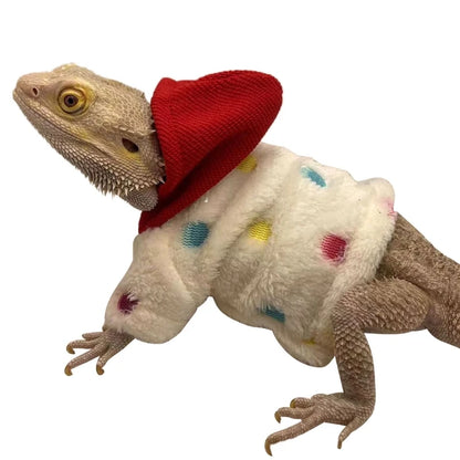 Lizard clothing 