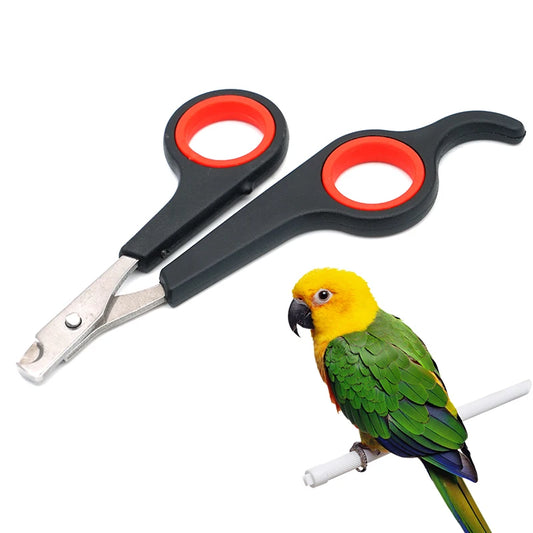 Nail scissors for birds 