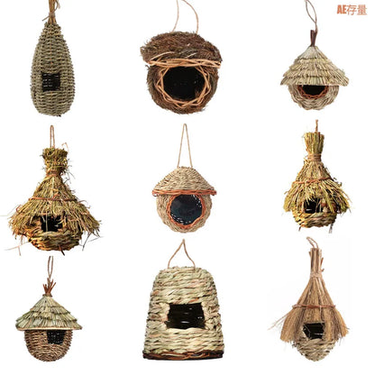 Natural Bird's Nest 