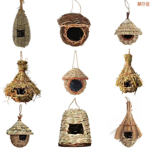 Natural Bird's Nest 