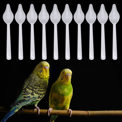 Plastic feeding spoons for baby birds 