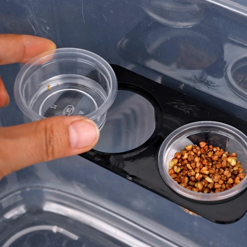 Reptile feeder with suction cup 